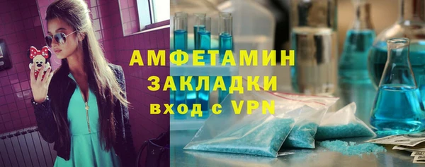 стаф Богданович