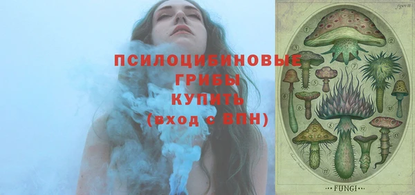 прущие крисы Богородицк