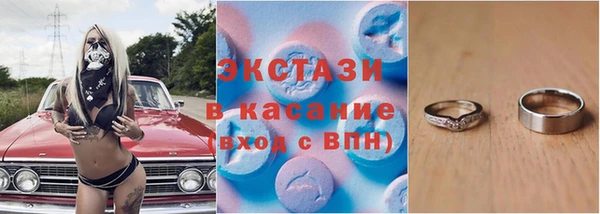 стаф Богданович