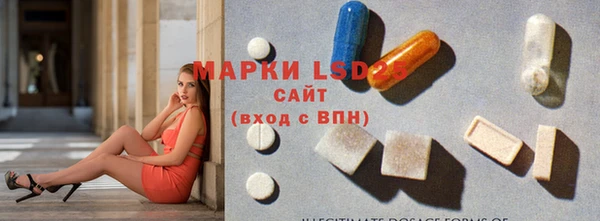 стаф Богданович