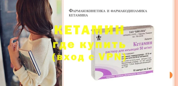 стаф Богданович