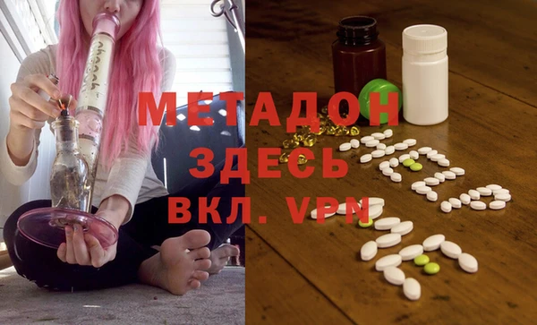 стаф Богданович