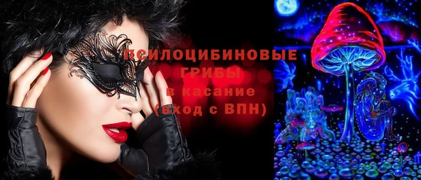 стаф Богданович