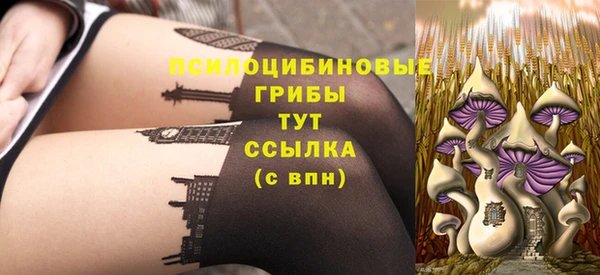 дживик Беломорск