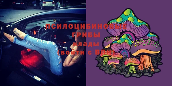 стаф Богданович