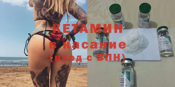 стаф Богданович